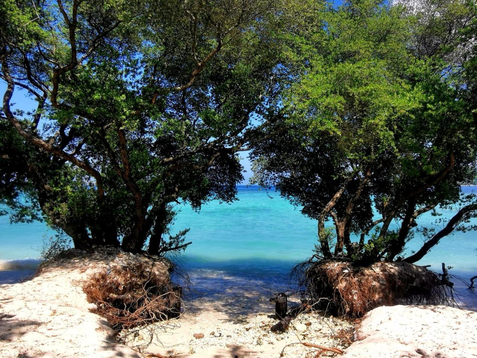 Exotic House Villa Gili Meno Exterior foto