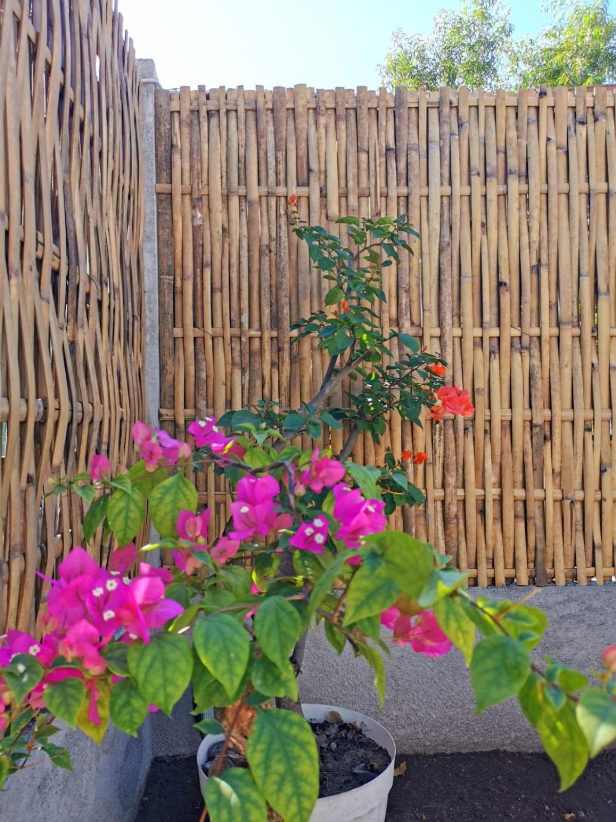 Exotic House Villa Gili Meno Exterior foto