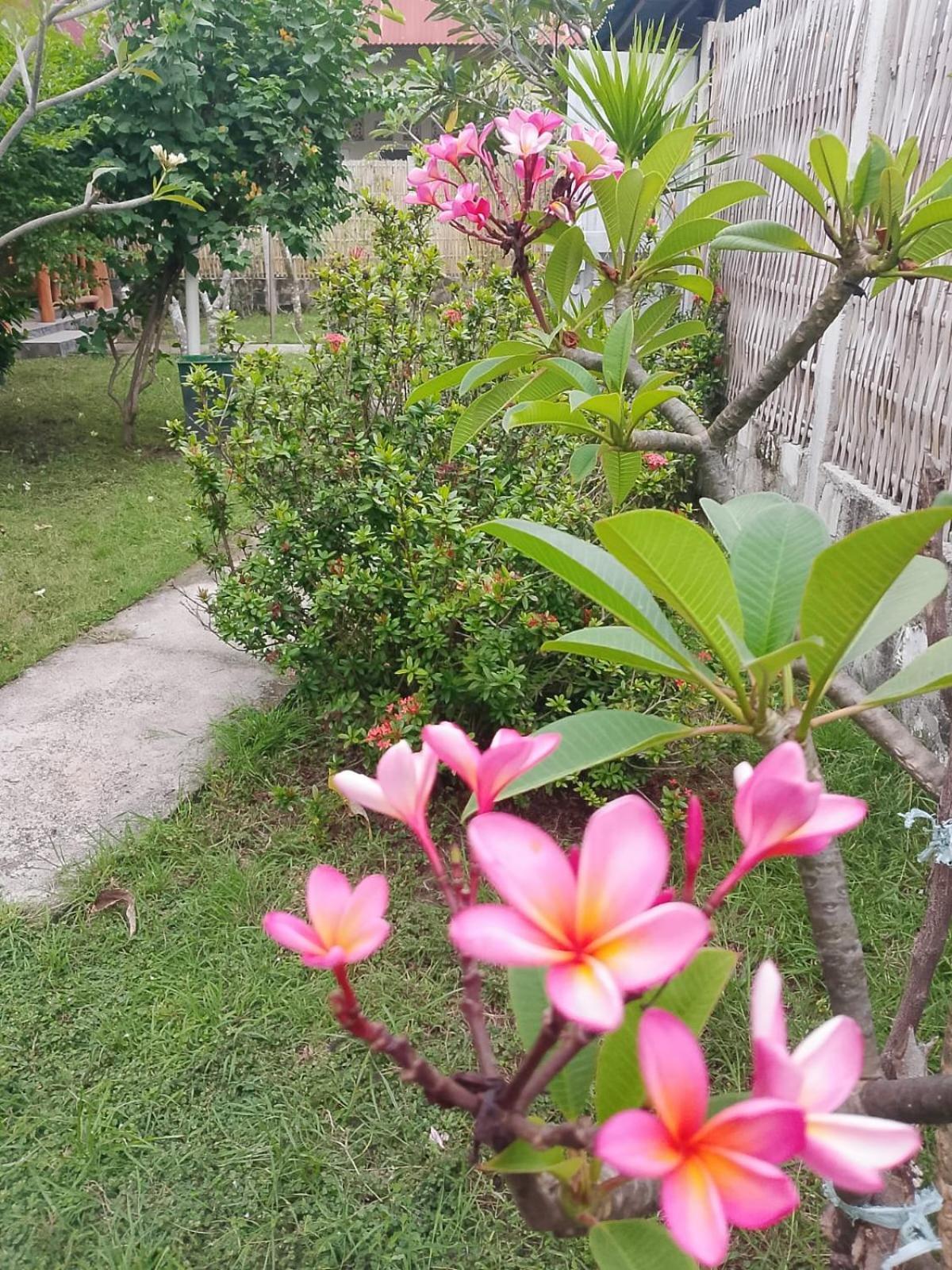 Exotic House Villa Gili Meno Cameră foto